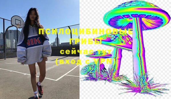 гидропоника Аша