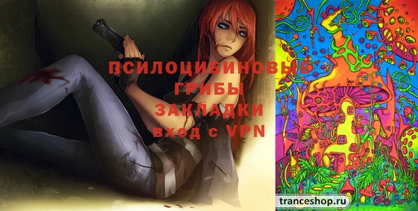спиды Лиски