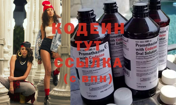 индика Бабаево