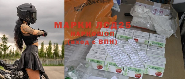 ГАЛЛЮЦИНОГЕННЫЕ ГРИБЫ Лагань