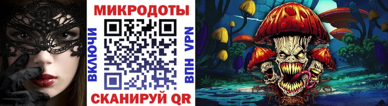 Псилоцибиновые грибы Psilocybine cubensis  Павловский Посад 